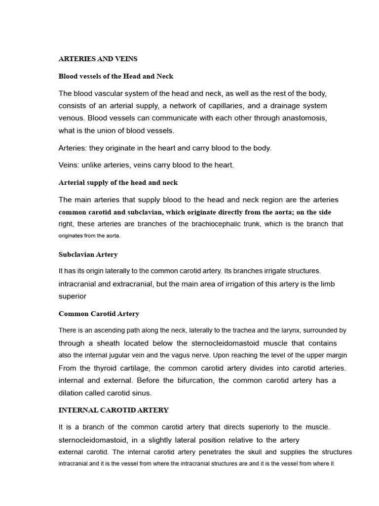 Blood Vessels of Head and Neck | PDF | Common Carotid Artery | Vein