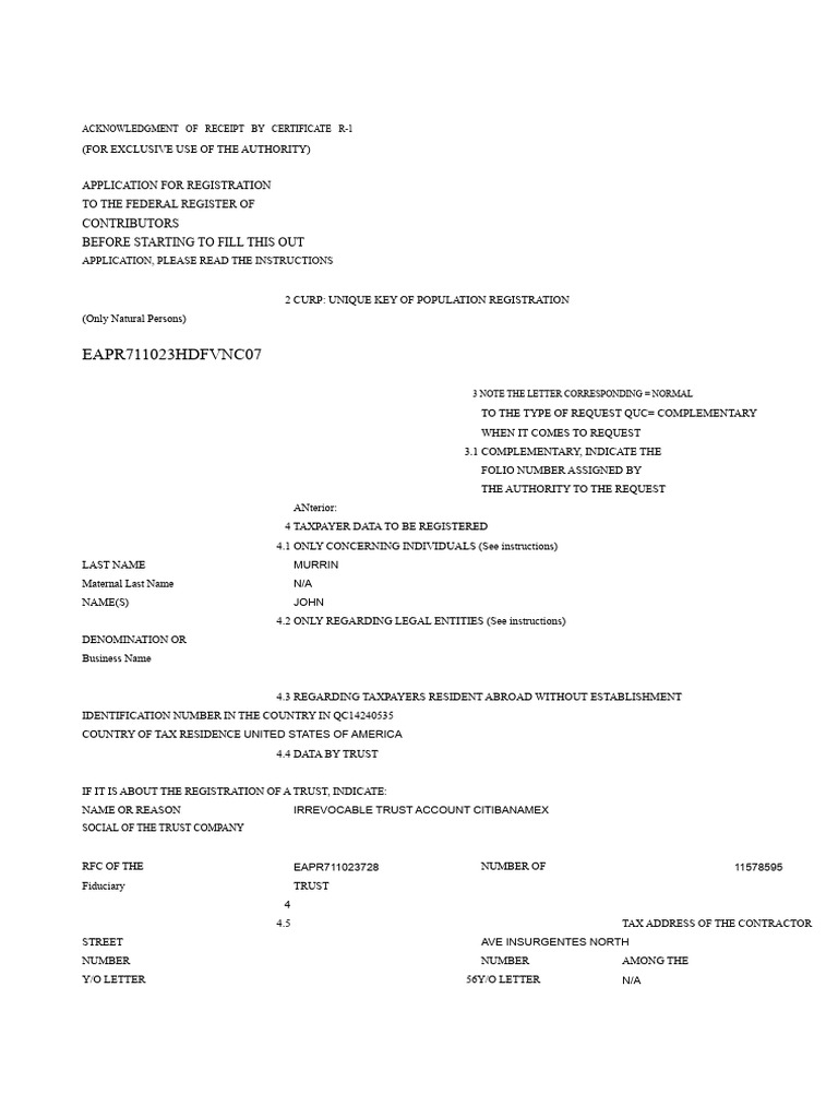 Federal Taxpayer Registration Form R-1 | PDF | Identity Document ...