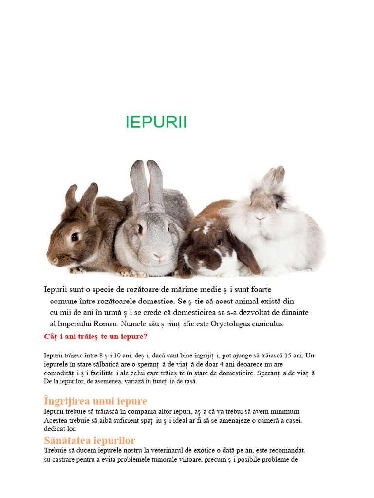 Iepurii (Texte Expozitive) | PDF