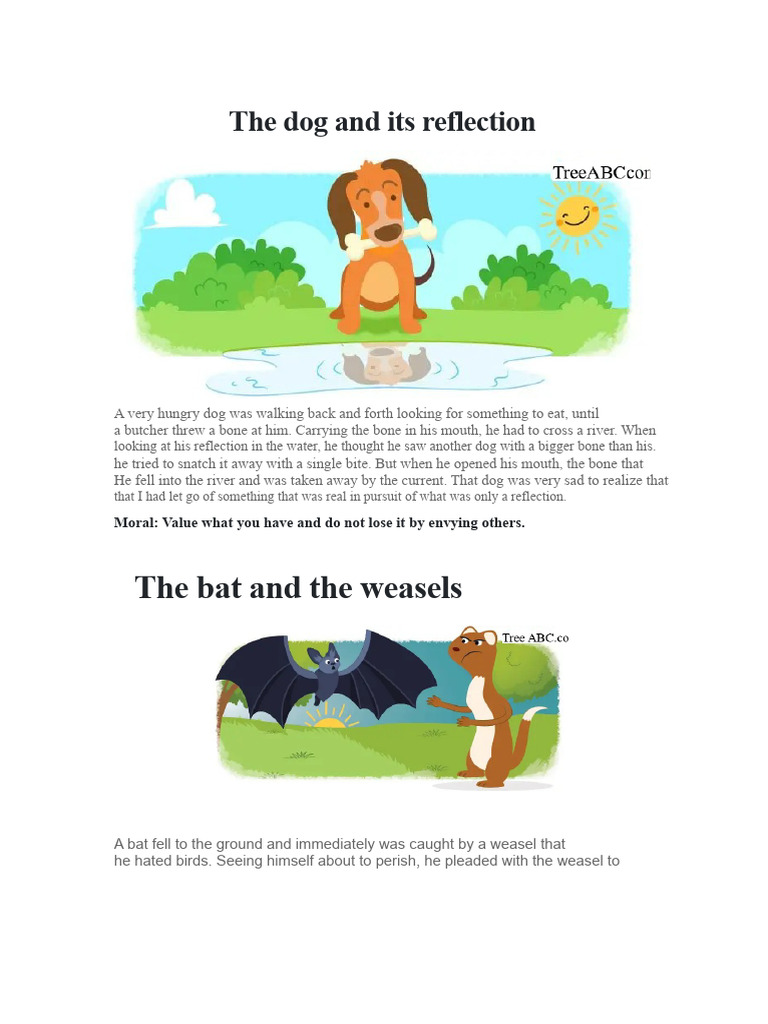 The Dog and Its Reflection | PDF