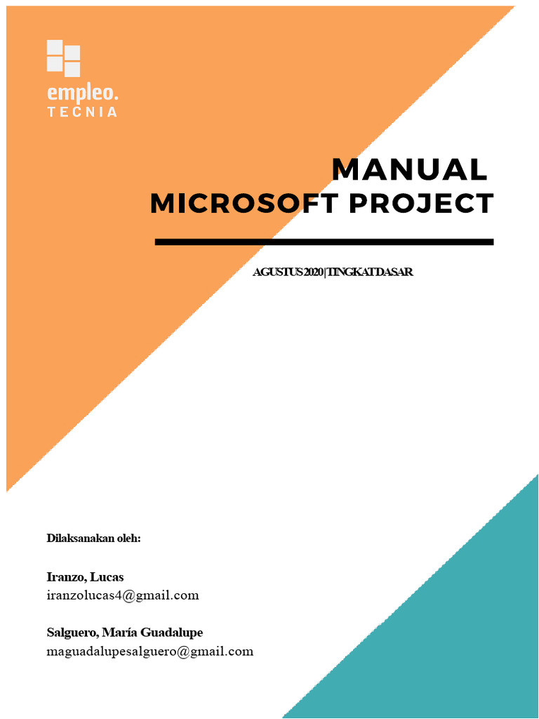 Manual Ms Project | PDF
