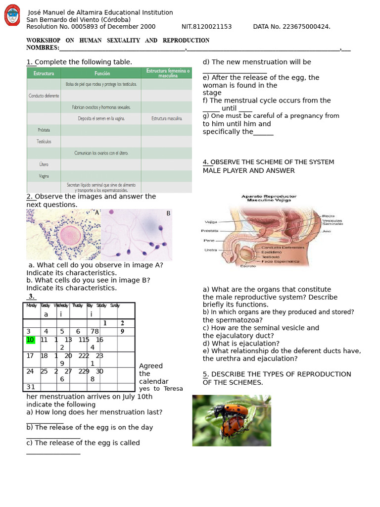 Human Sexuality and Reproduction Workshop | PDF | Luteinizing Hormone ...
