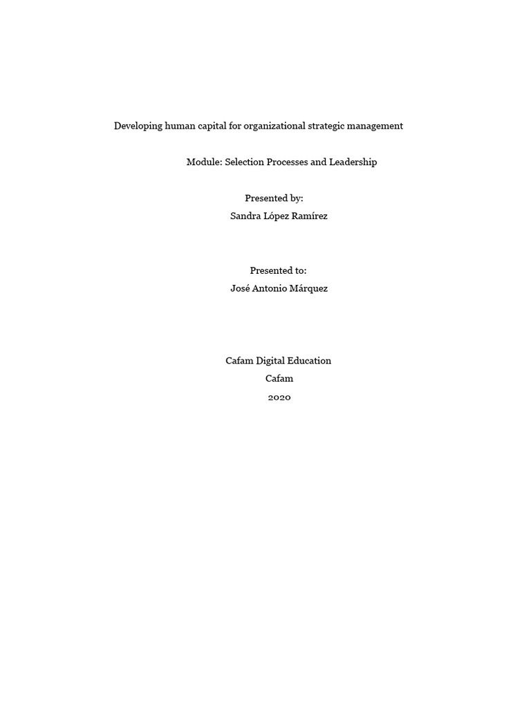 Human Capital Development in Organizations | PDF | Business
