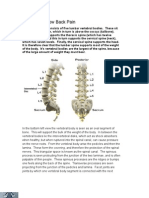 Anatomy of Low Back Pain 1699897