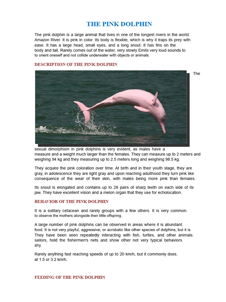 Pink Dolphin: Habitat, Behavior, and Threats | PDF | Dolphin | Zoology