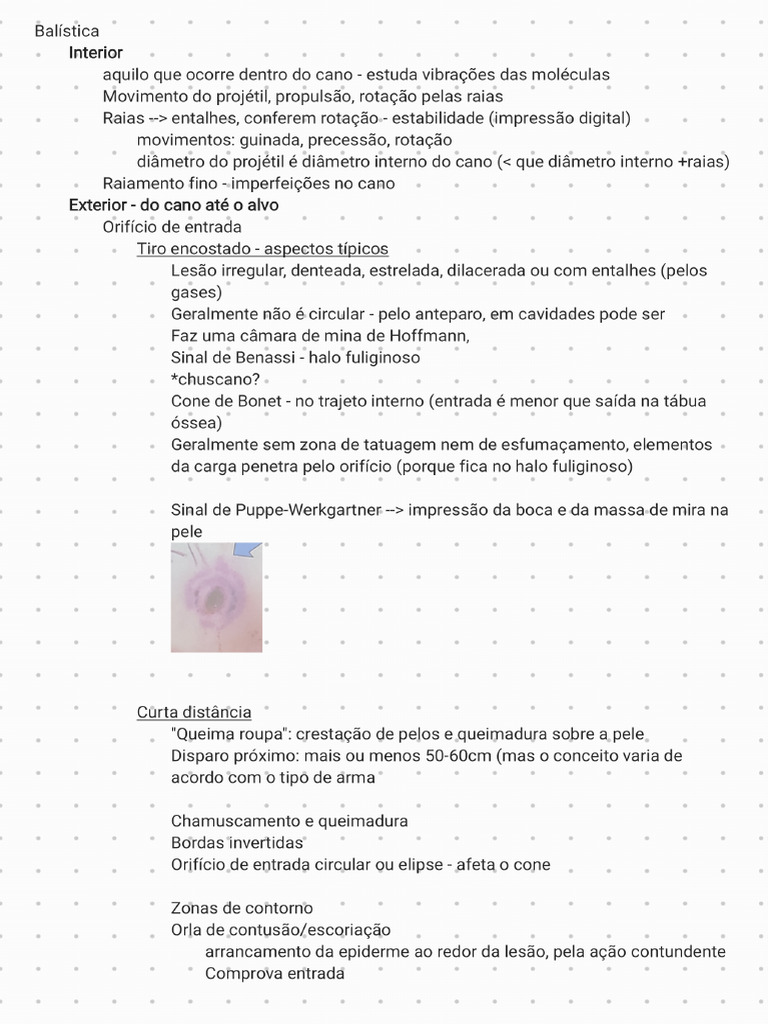 Balística 250925 105019 | PDF