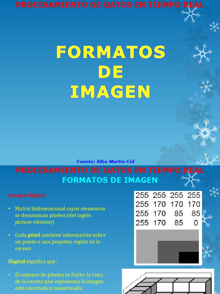 Formatos de Imagen y Procesamiento en Tiempo Real | PDF | Dispositivo ...