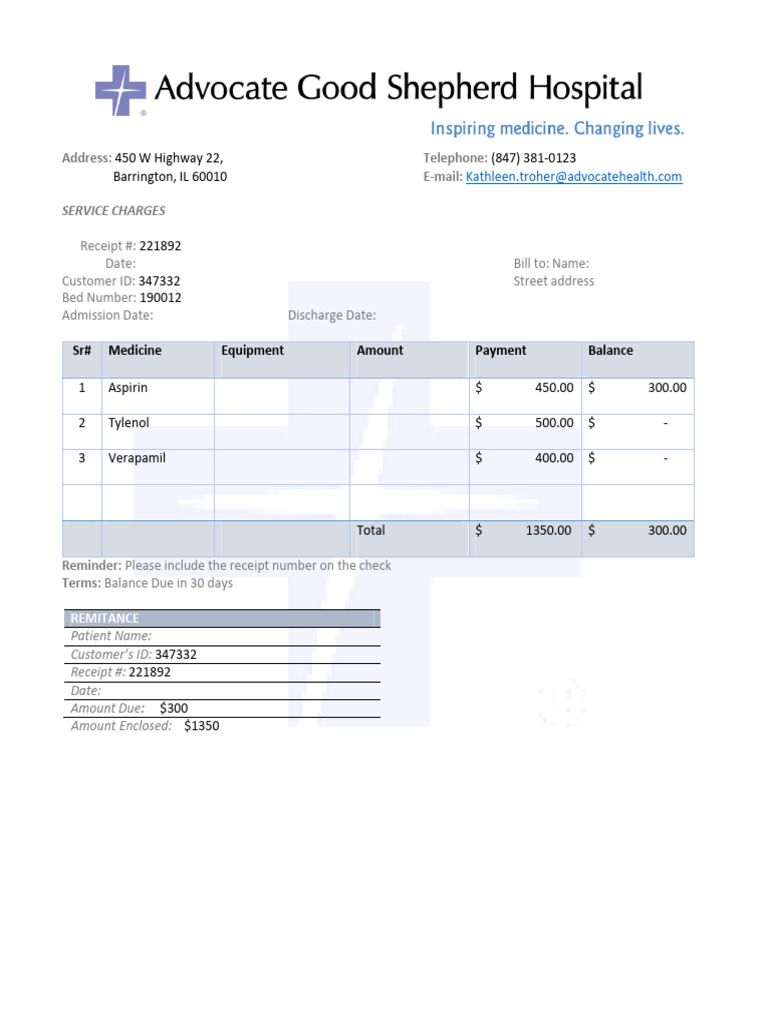 Hospital Bill Format 2 | PDF