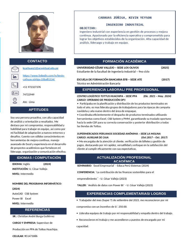 Modelo CV | PDF | Ingeniería Industrial | Economias