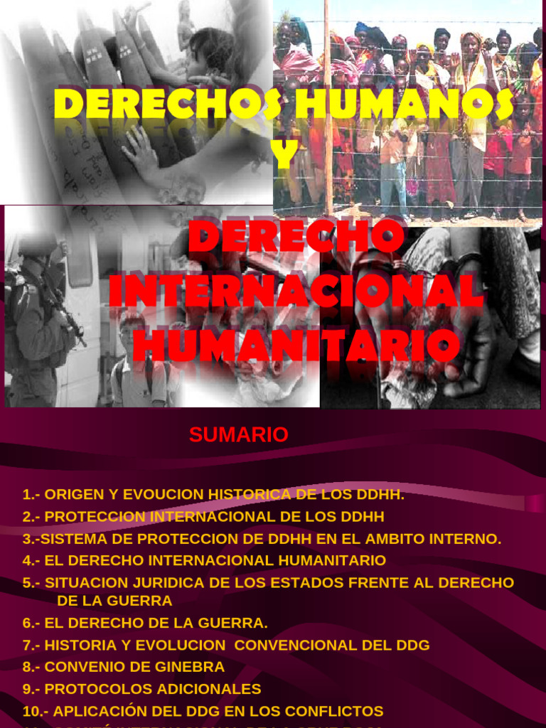 Historia y Evolución de los DDHH | PDF | Ley humanitaria internacional ...