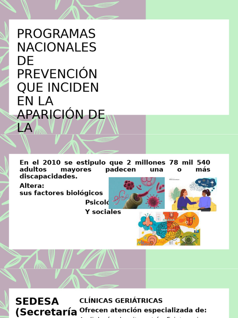 Programas de Salud para Adultos Mayores | PDF | Salud mental | Obesidad