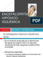 Ani Encefalopatia Hipoxico-Isquemica