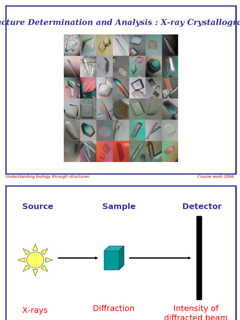 X-ray Crystallography in Biology | PDF | X Ray Crystallography ...