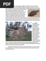 Download sejarah kjokkenmoddinger by Anita Suci Wulanda SN92778420 doc pdf