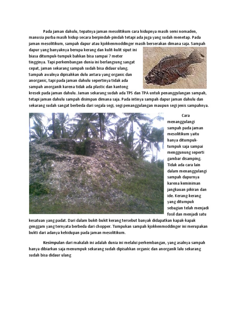 Sejarah Kjokkenmoddinger Pdf