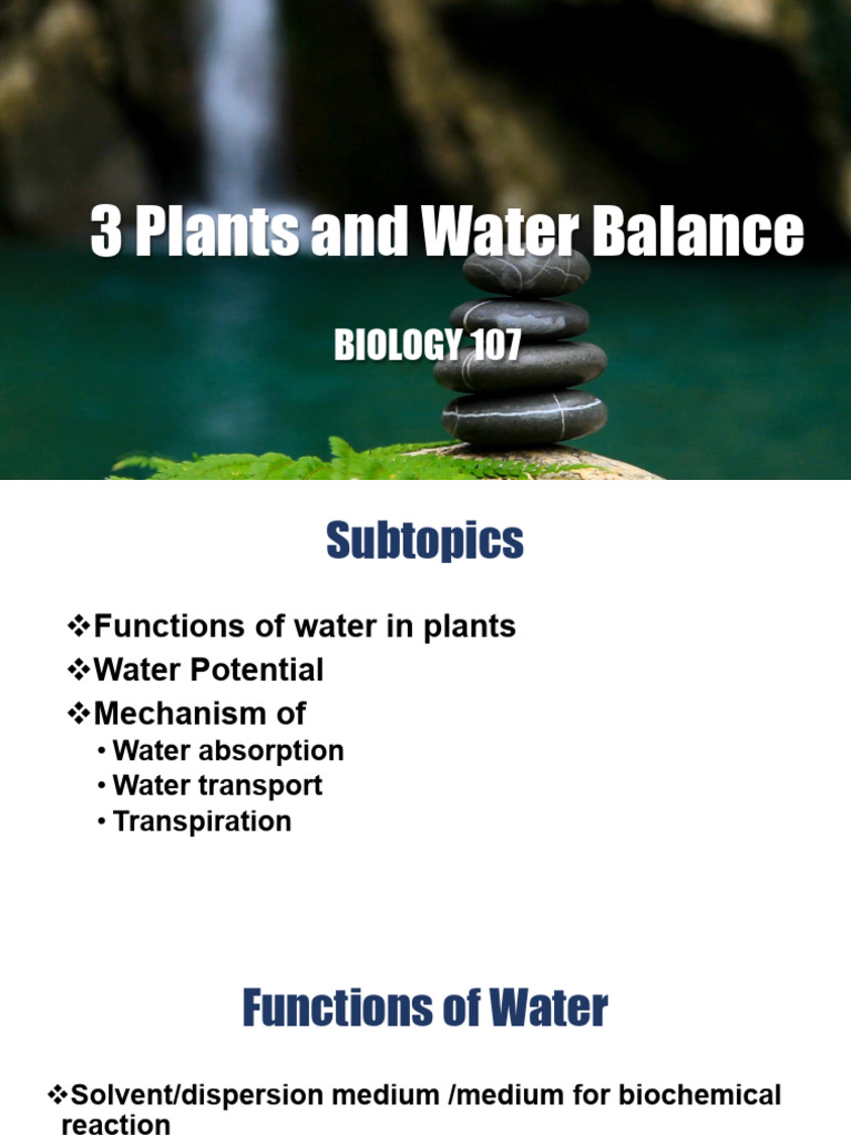 3plants and Water Balance | PDF | Water | Osmosis