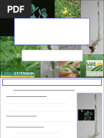 Understanding Grass Structure | PDF | Plants | Botany