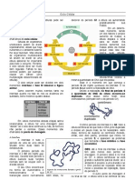 Ciclo Celular e Mitose