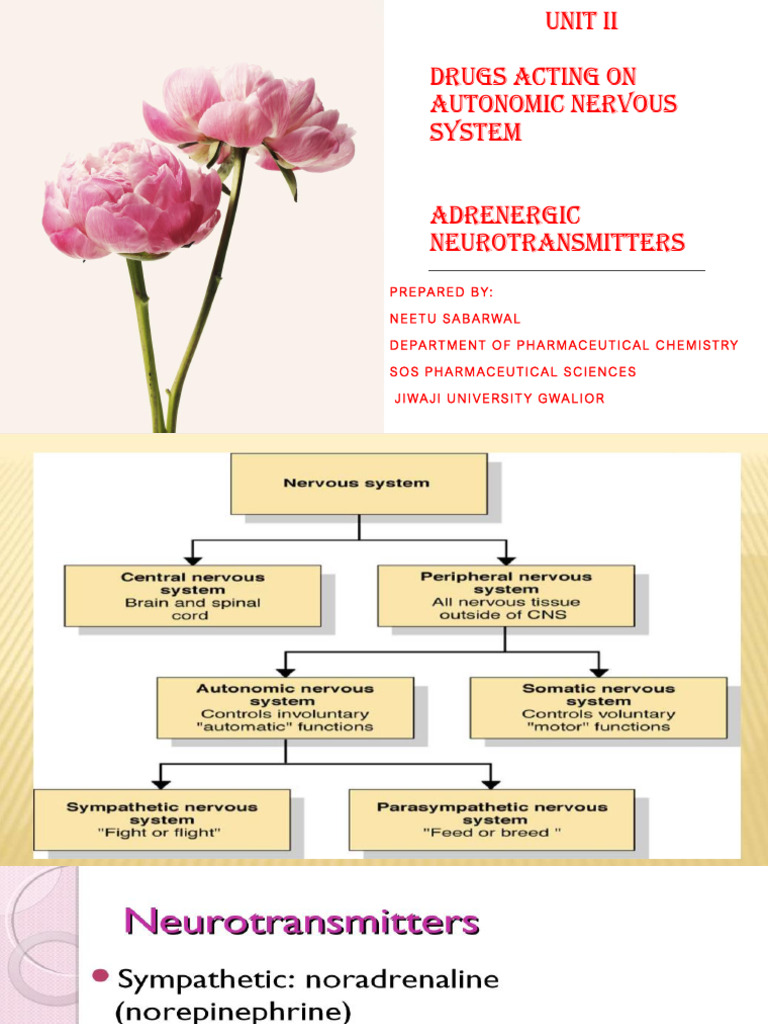 Adrenergic Neurotransmitters Overview | PDF | Norepinephrine | Chemical ...