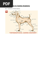 Dog Body Surface Area Conversion Chart | PDF | Metrology | Human Body