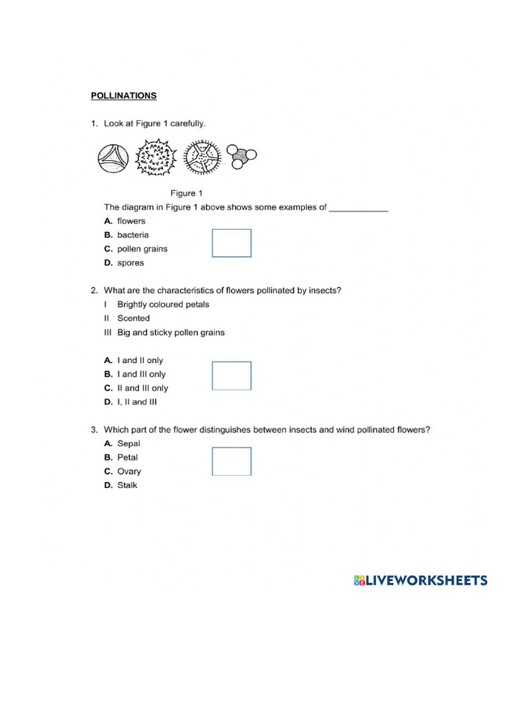 Worksheet 1326787 | PDF