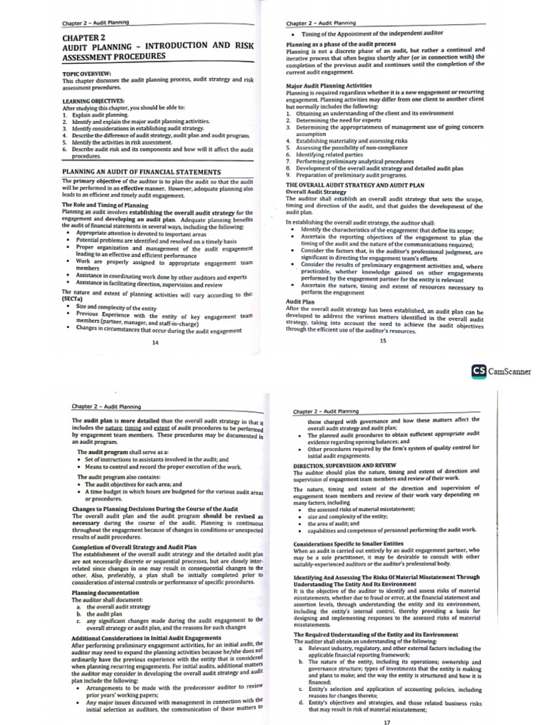C2. Audit Planning - Introduction and Risk Assessment Procedures | PDF