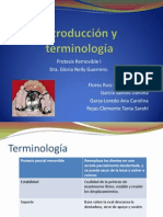 Introducción y Terminología Clase Remo I