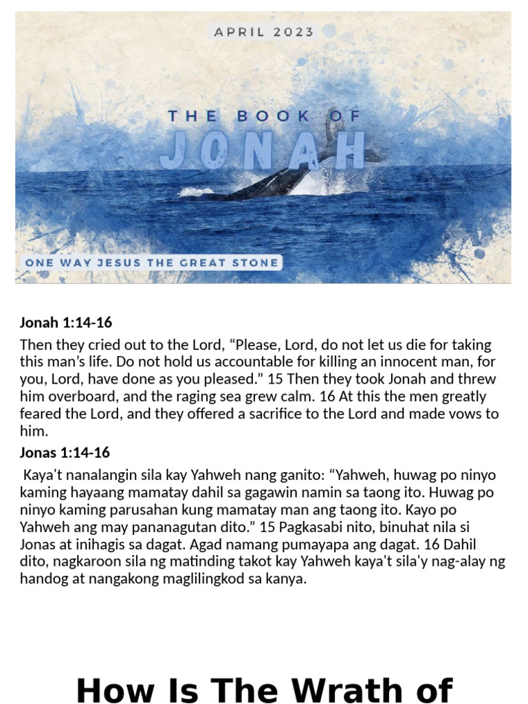 How Is The Wrath of God Satisfied PDF Jonah Faith