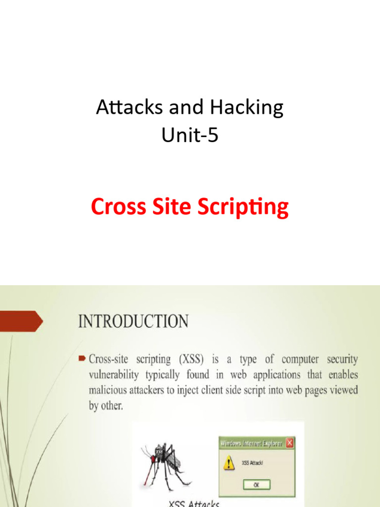 Preventing Cross Site Scripting Attacks | PDF