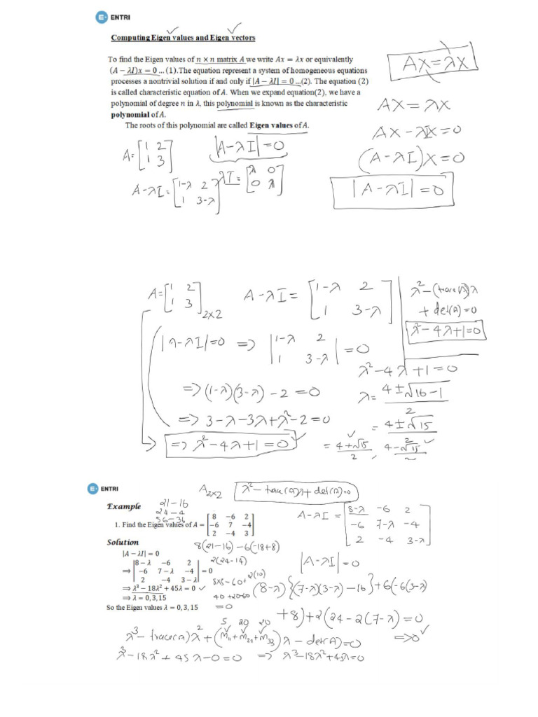 Mosule 1class 6 | PDF