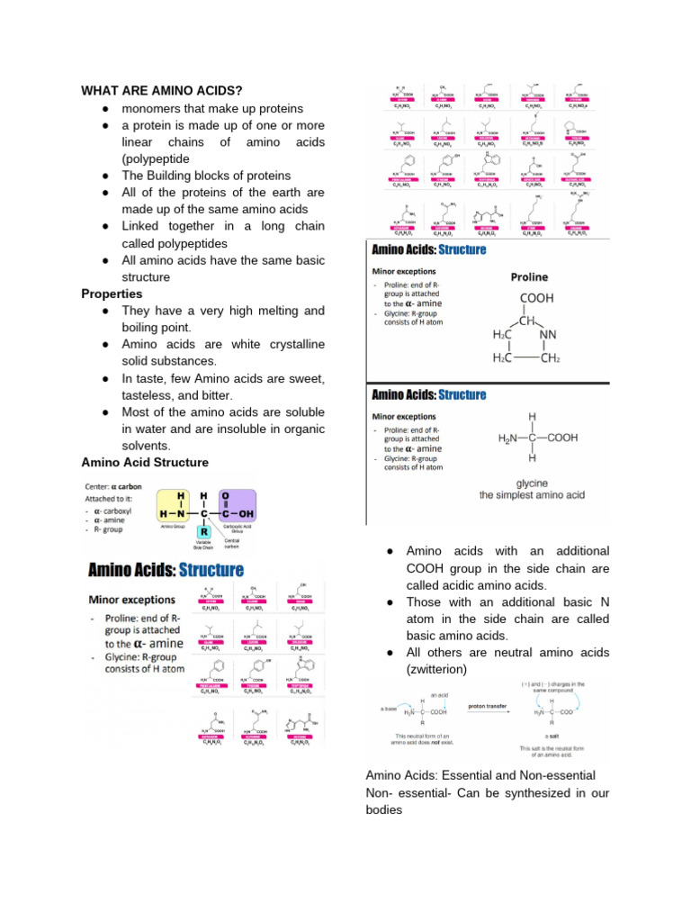 Understanding Amino Acids and Proteins | PDF | Cell Membrane | Microtubule