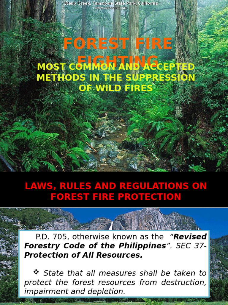 Forest Fire Fighting Methods and Laws | PDF | Fires | Wildfire
