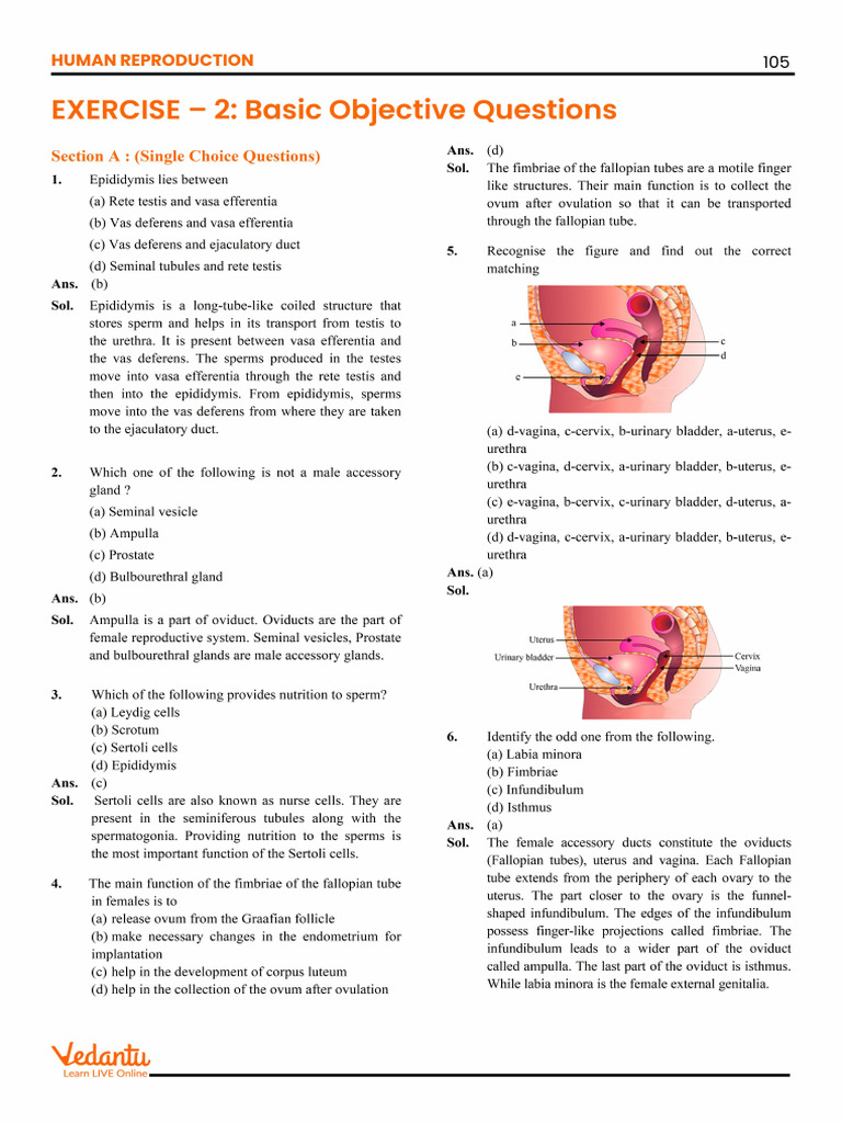 Ex-2 - Human Reproduction | PDF | Menstrual Cycle | Luteinizing Hormone