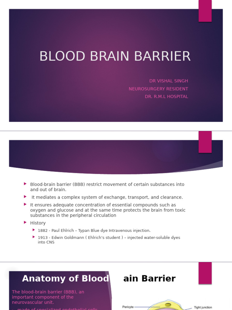 Understanding the Blood-Brain Barrier | PDF | Endothelium | Astrocyte