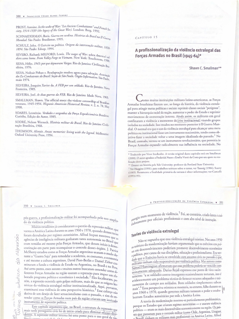 Violencia ExtraLegal | PDF