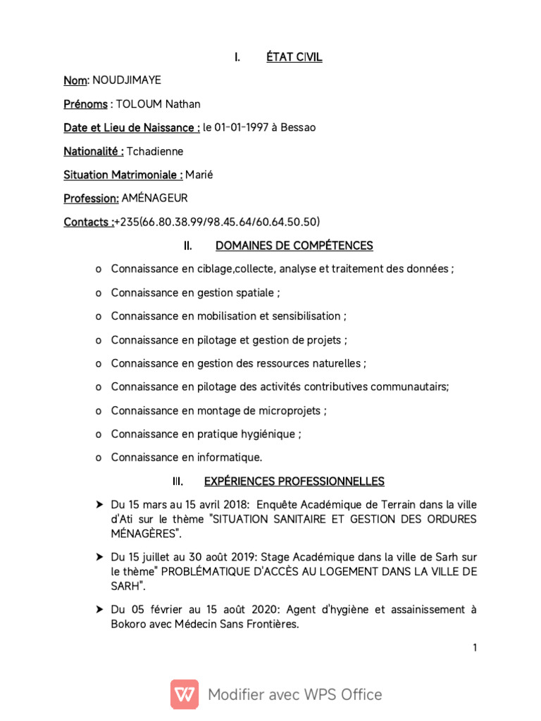 CV de Toloum Nathan Noudjimaye | PDF | Enseignement secondaire