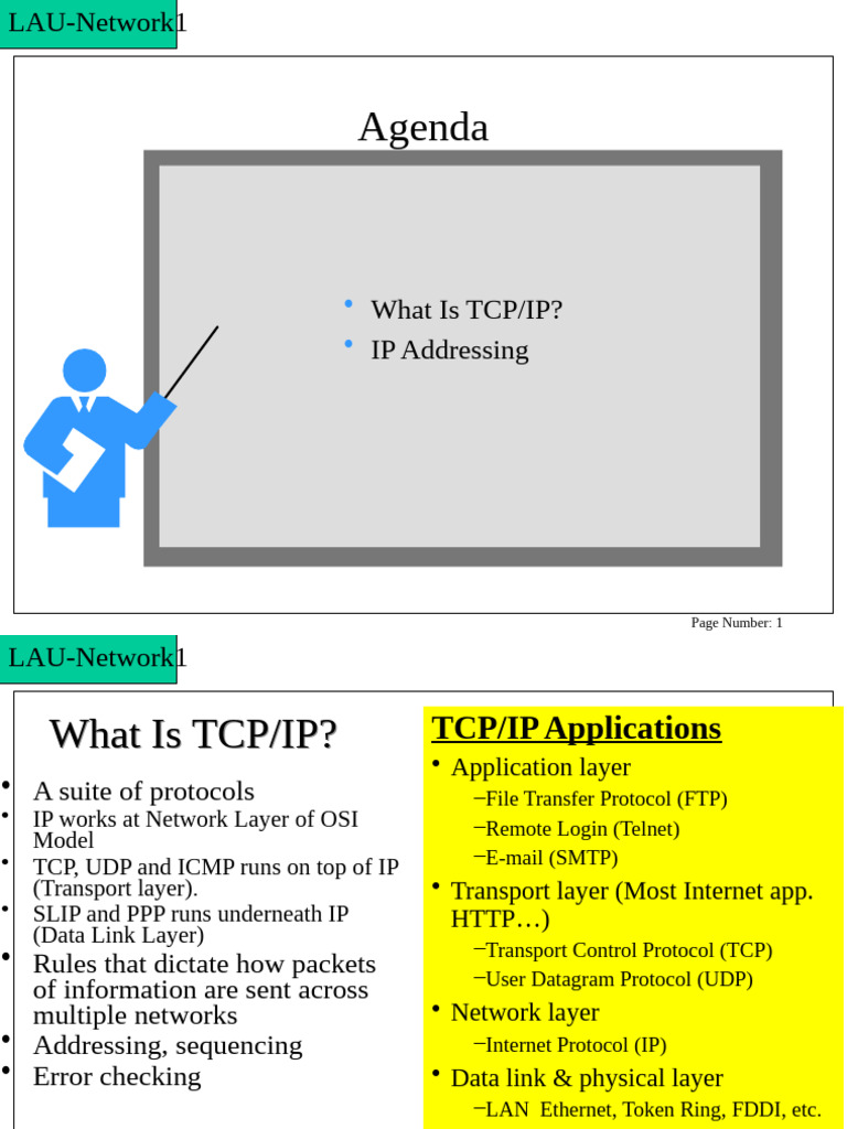 TCP/IP Protocols and IP Addressing Guide | PDF | Computer Network ...
