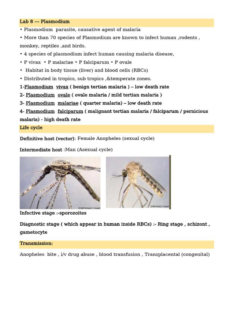 Plasmodium Species and Malaria Overview | PDF | Plasmodium | Malaria