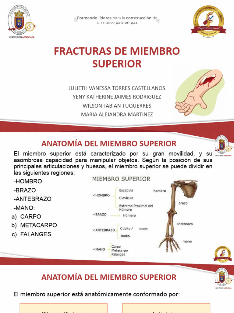 Fracturas Miembro Superior | PDF | Mano | Fractura