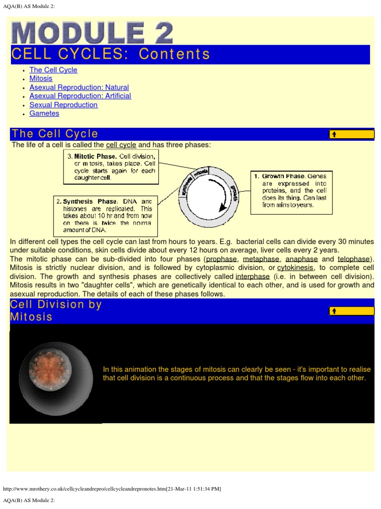 Module 2 | PDF