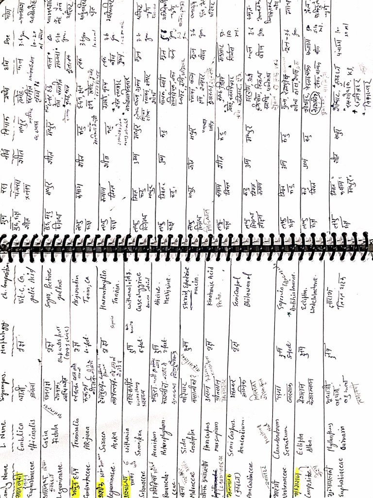 DocScanner Jun 10, 2025 1-16 PM | PDF