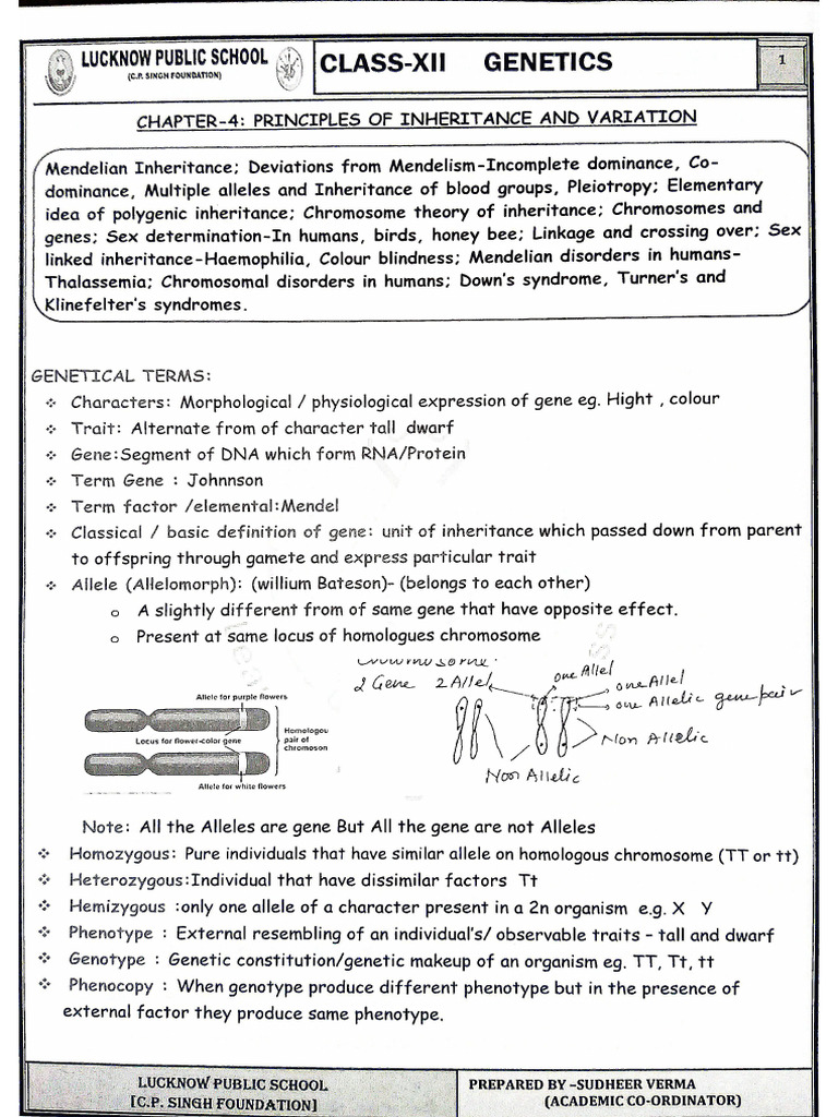 Chapter 4 Principles of Inheritance and Variation | PDF
