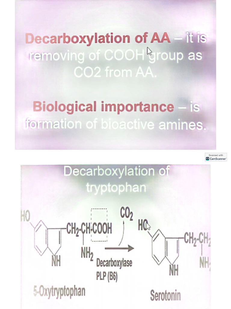 Biochemistry 3 | PDF