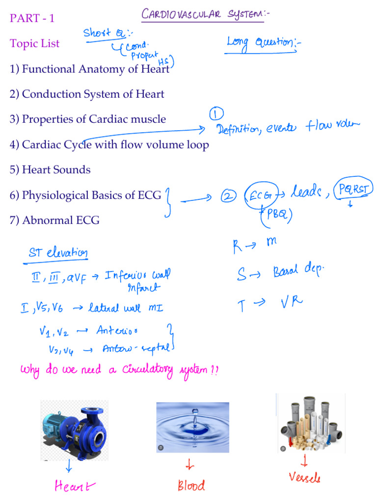 Cardiovascular System MBBS | PDF | Heart | Diastole