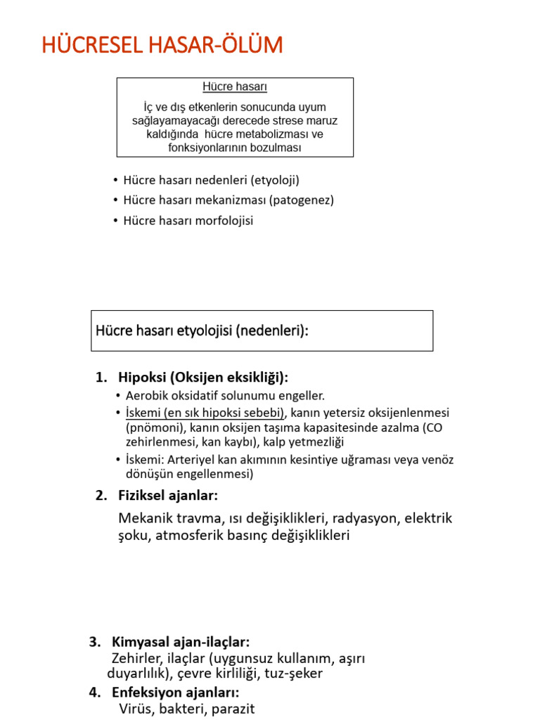 Ders 4 - Hücresel Hasar 2 | PDF