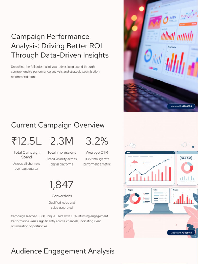 Campaign Performance Insights for ROI | PDF | Advertising | Marketing