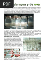 Kéfir de agua y de uva