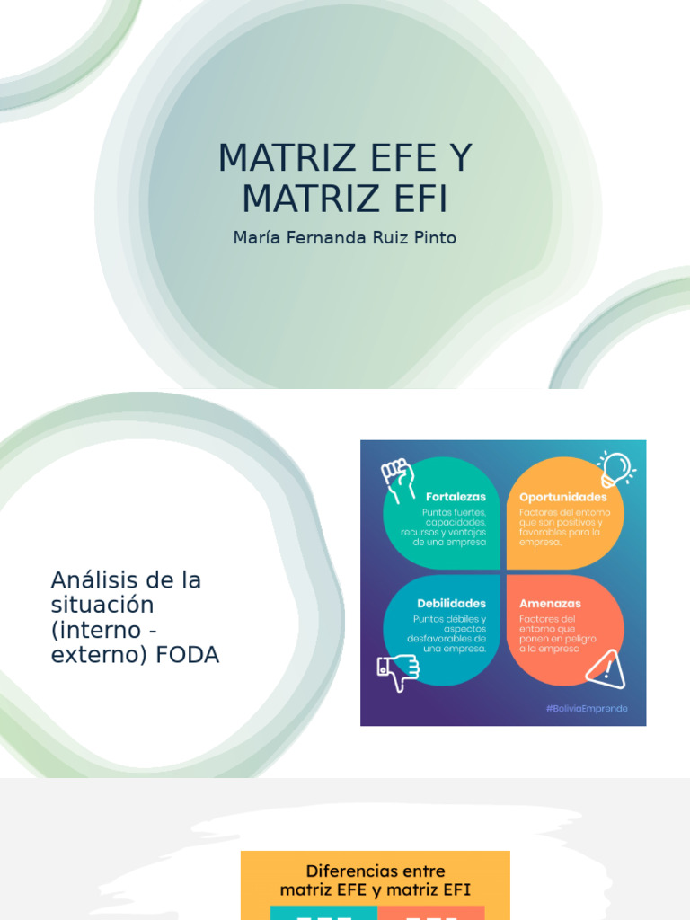 Matriz Efe y Efi | PDF