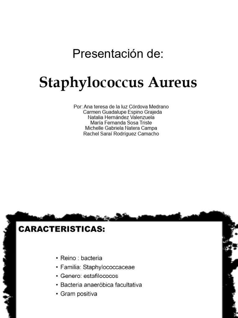 Características y Tratamiento de S. aureus | PDF | Staphylococcus ...