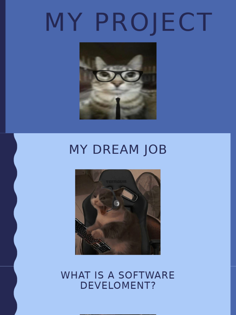 My Project??? | PDF